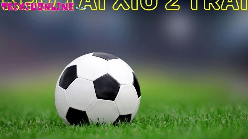 tai-xiu-2-trai
